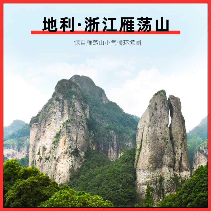 阿里健康大药房杞里香铁皮石斛礼盒正品非霍山石斛过年送长辈礼品铁皮石斛250g1