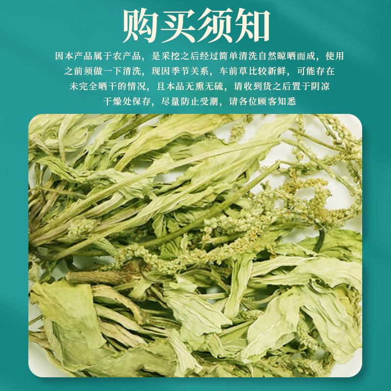 喝足30天】车前草干货搭野生中葯材新鲜平车前尿痠高袋泡茶凉茶降