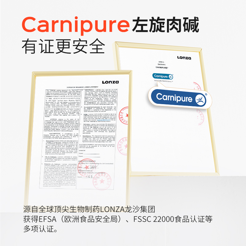 诺特兰德左旋肉碱十万官方旗舰100000正品100支左旋运动饮料便携 - 图1