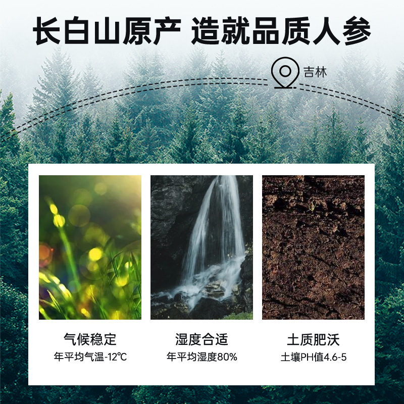 雷允上西洋参2-3CM超大片100g长白山花旗参人参片泡茶官方正品 - 图1