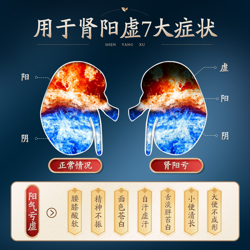 阿里健康大药房同仁堂锁阳固精丸补精强肾持久补肾固精阳痿早泄锁阳金锁固精精丸0