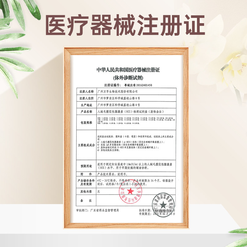 金秀儿验孕棒早早孕试纸精准检测高精度七天hcg测怀孕笔条次日达