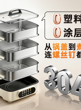 全钢电蒸锅蒸煮炖一体