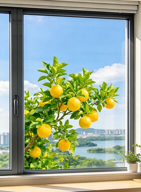 海轩阁清新树叶花朵静电玻璃贴画