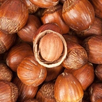 2023 New stock original flavor thin leather large hazelnut home bulky cooked nut delivery clip Northeastern Liaoning Huanren production