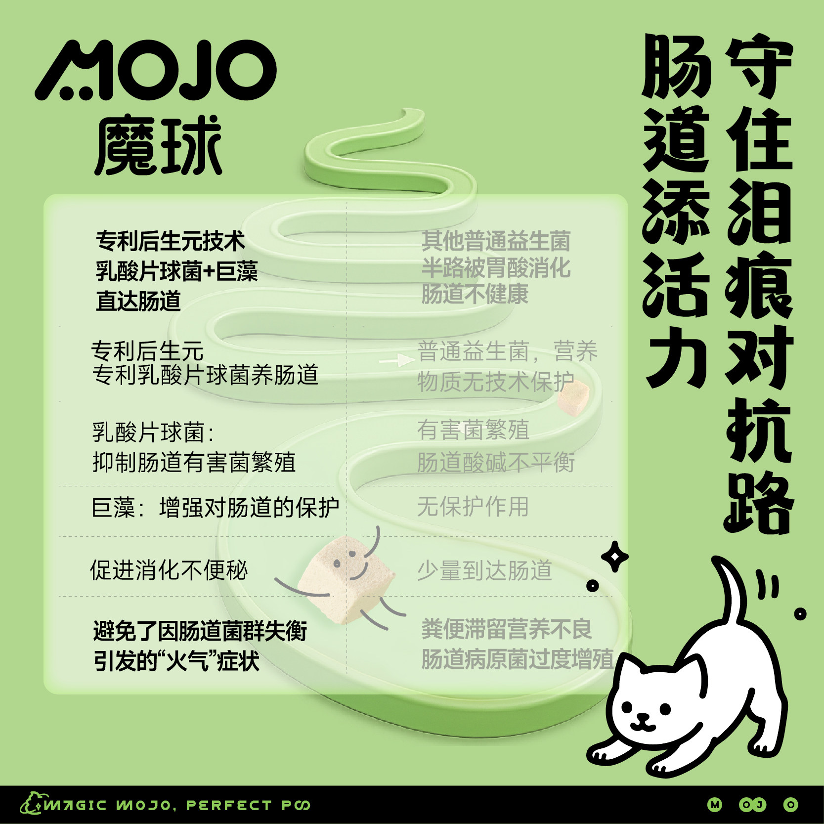 魔球全价鸭肉梨猫咪主食冻干桶营养苦瓜雪梨清热降火缓解泪痕主粮,淘宝优惠券,粉丝福利购,淘宝优惠卷