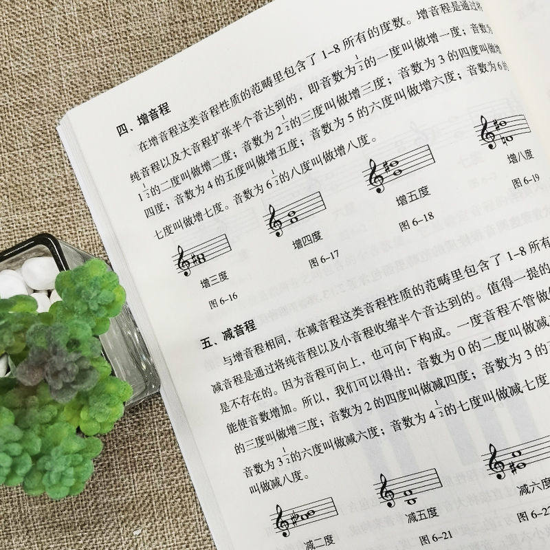 正版 五线谱入门基础教程 初学者零基础学吉他钢琴的书 音乐书籍自学 从零起步五线谱基础 简单学音符乐理基础知识书籍,淘宝优惠券,粉丝福利购,淘宝优惠卷