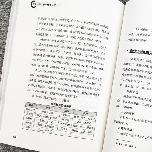 2册 意无止境+道家真气意拳精要全解书正版意无止境王芗斋站桩功拳学教程成拳站桩健身功法养生形意拳内家拳 中医健身书籍拳道中枢 - 图2