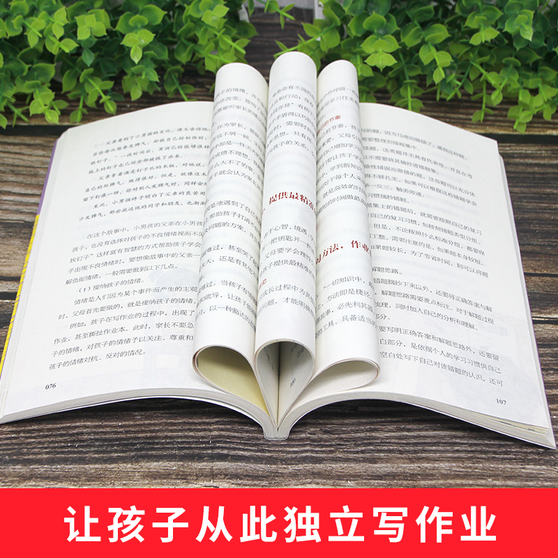 3册 超解费曼学习法+你只是看上去在陪孩子写作业+这样给孩子定规矩让孩子不抵触的魔性方法学霸是这样炼成的 好父母不吼不叫