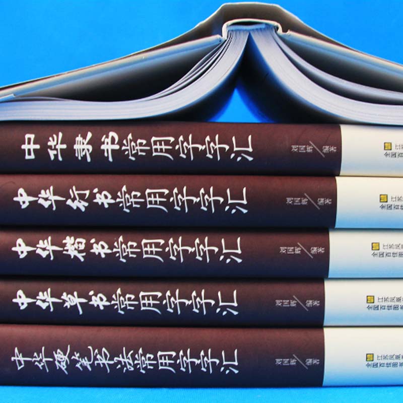 正版包邮中国常用字字汇中华隶书中华行书中华硬笔书法中华楷书中华草书中华篆书楷书行书字帖常用字偏旁部首章法赏析书法 书藉