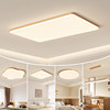 Arrow Japanese living room main light 2026 new ceiling light
