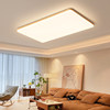 Arrow Japanese living room main light 2026 new ceiling light