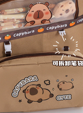 卡皮巴拉补习袋小学生手提袋学生拎书袋女孩儿童帆布补课包书包袋