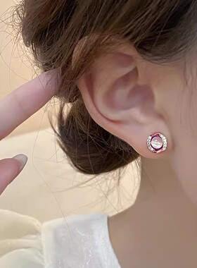 小巧精致锆石简约耳钉女新款小众设计耳饰轻奢高级感气质大气耳环