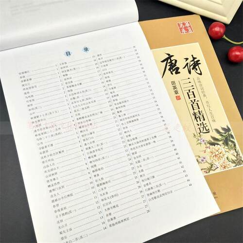 田英章书硬笔楷书唐诗三百首宋词三百首学生描红成人正楷体练字帖 - 图0