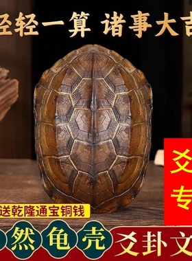 卦卜铜钱龟壳老式王八壳