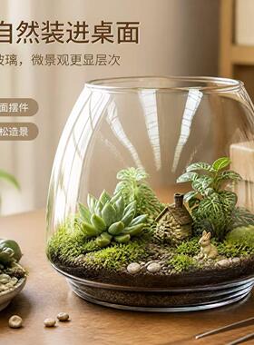 创意微景观桌面小鱼缸水培装饰品