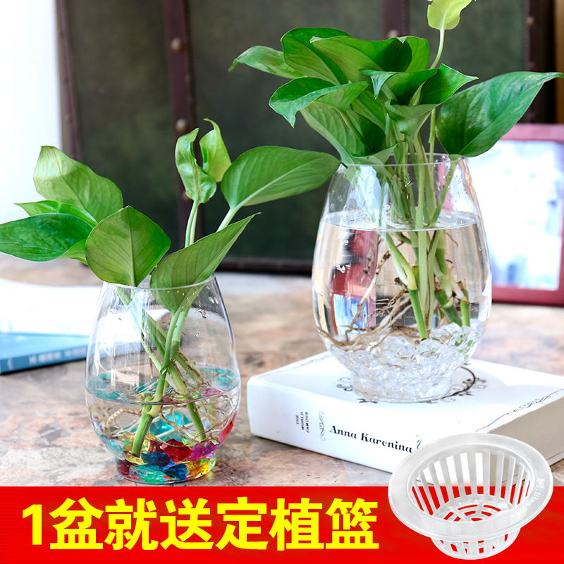 现代简约大号透明玻璃花瓶客厅摆件插花绿萝富贵竹水培花瓶玻璃瓶-图1