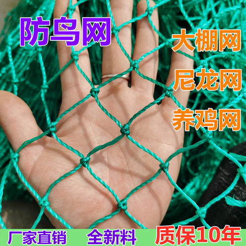 尼龙养殖网养鸡网山鸡网围栏网护栏网拦鸡网菜园网防护网防鸟网-图2