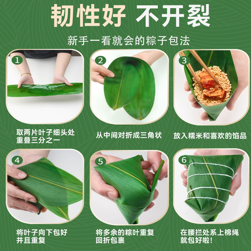 粽叶新鲜粽子叶大号精选包粽子专用的叶子端午鲜叶干叶特大家商用