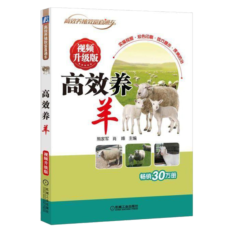 高效养羊 视频升级版 科学生态饲养肉用绵羊山羊高效养殖与疾病防治 羊病防治手册 饲养标准与配制 羊舍选址要求 养羊技术大全书籍