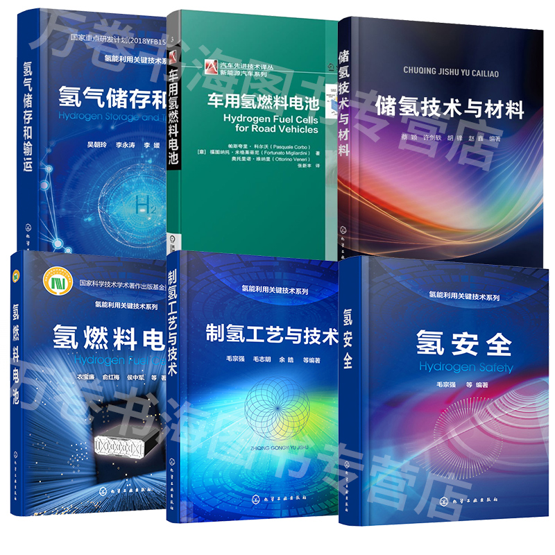 6册氢燃料电池+制氢工艺与技术+氢气储存和输运+储氢技术与材料+氢安全+车用氢燃料电池 氢能利用关键技术系列 氢能储运技术书籍 - 图3