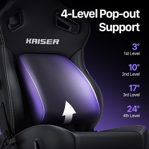 【海外版】K4 安德斯特电竞椅家用舒适人体工学椅子办公电脑椅 - 图0