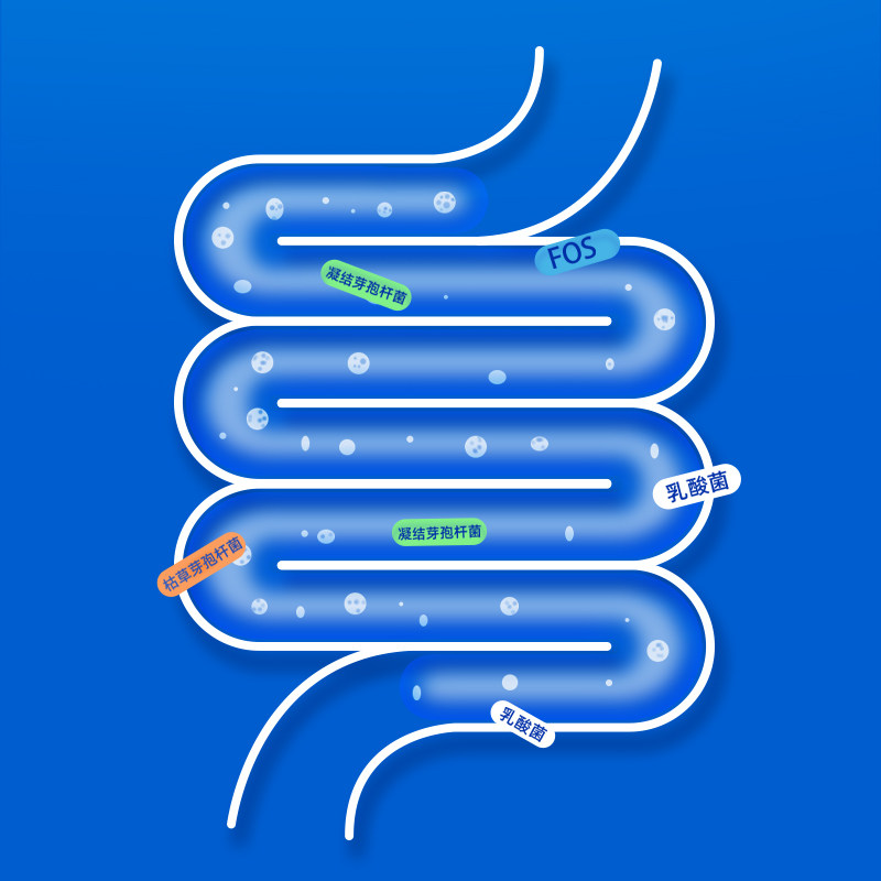 【囤货装】豆柴鸭肉梨狗粮全价通用成幼犬泰迪比熊冻干粮,淘宝优惠券,粉丝福利购,淘宝优惠卷