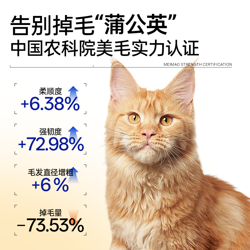 豆柴烘焙猫粮鲜活力Pro+美毛低温全价无谷冻干成幼猫200g试吃装,淘宝优惠券,粉丝福利购,淘宝优惠卷