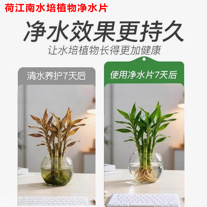 水培植物净水片除臭杀菌消毒花卉保鲜剂富贵竹除藻专用净化水质,淘宝优惠券,粉丝福利购,淘宝优惠卷