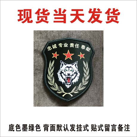 迷彩服教官三件套配饰标志培训师臂章户外拓展培训队员胸章红领章 - 图0