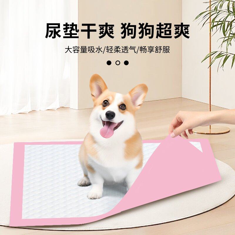 猫狗兔子仓鼠宠物尿垫可粘贴尿布四角定位尿不湿隔除臭垫猫狗,淘宝优惠券,粉丝福利购,淘宝优惠卷