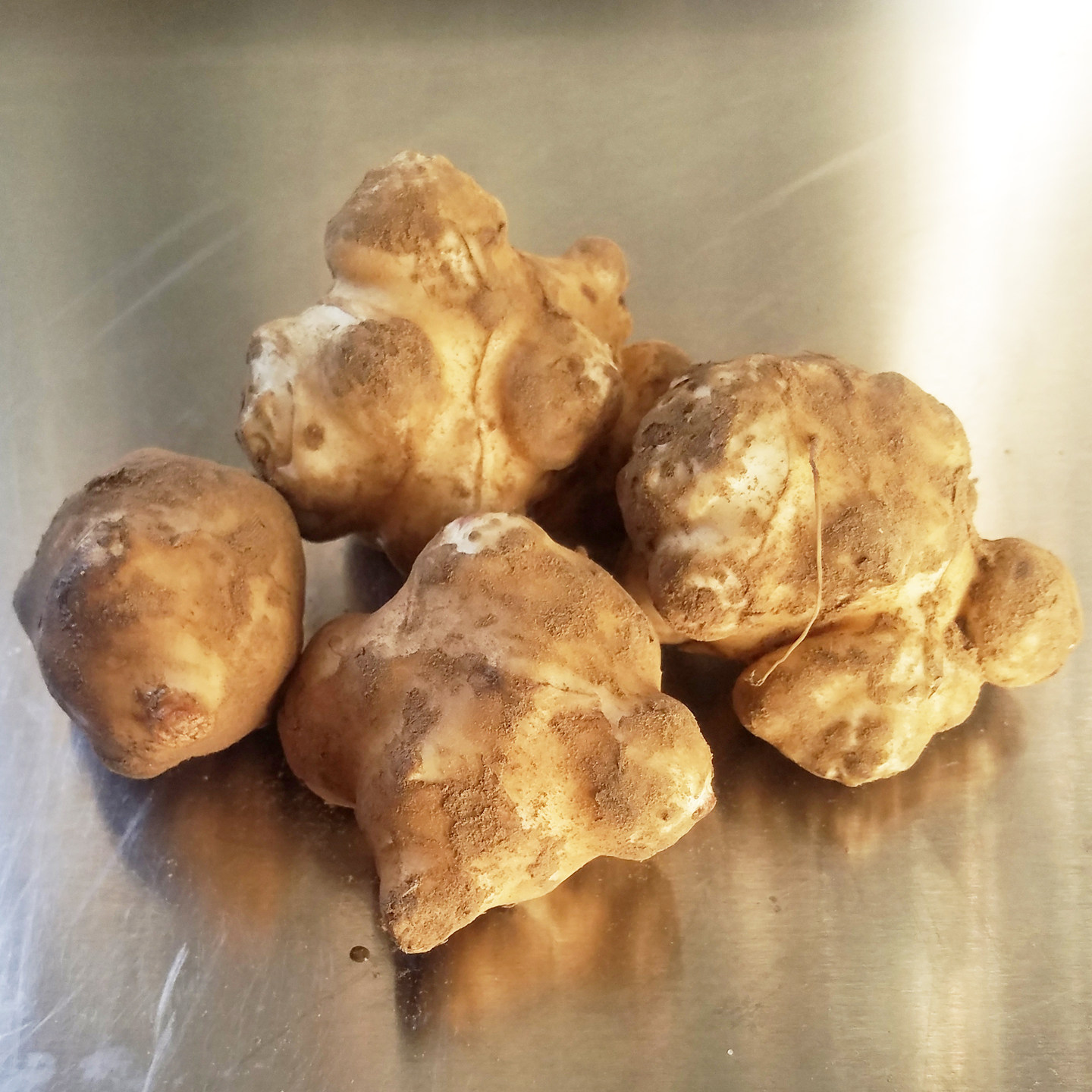 洋姜新鲜现挖当季水果姜田野菊芋姜不辣洋生姜生吃姜凉拌鬼子姜,淘宝优惠券,粉丝福利购,淘宝优惠卷