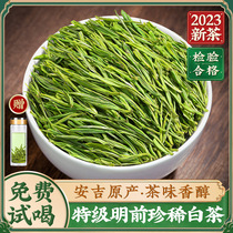 Rare white tea 2023 New tea special class Zhengzong Ming Former alpine green tea Gold bud tea gift box Bulk 500g