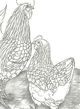 花鸟工笔画白描底稿临衍达葡萄
