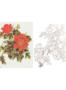 有步骤花鸟国画白描底稿小品牡丹