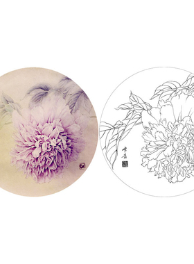 有步骤花鸟国画白描底稿小品牡丹