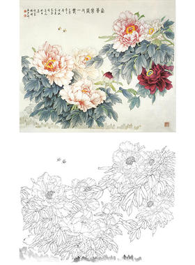 国画牡丹线描画稿工笔画白描底稿