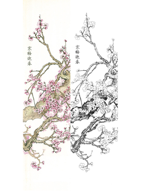 临摹冯爱国画稿竹子四条屏之《高风亮节》国画花鸟工笔画白描底稿