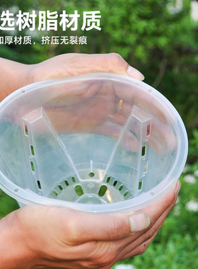透明控根盆兰花水苔蝴蝶兰花盆塑料镂空大号家用树脂