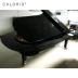 Cloris clorris tùy chỉnh thanh tam giác piano nhập khẩu cao với chơi piano - dương cầm