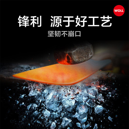 WOLL德国进口不锈钢厨房刀具套装菜刀切菜刀家用切片中片刀 - 图3