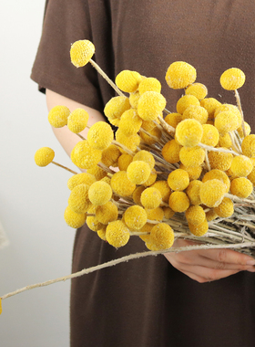 黄金球干花北欧软装家居装饰客厅白色真花干果天然风干植物招财果