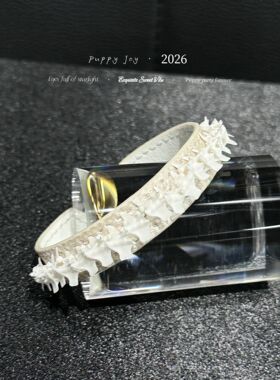 手链 PuppyJoy独家「蛇骨手环」蛇皮手环高级手工定制