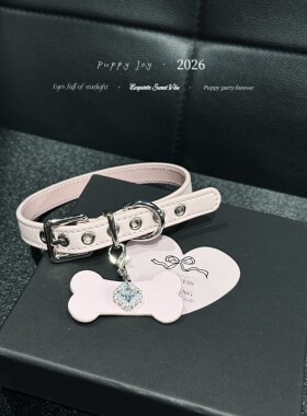 PuppyJoy「莫兰迪粉」项链颈带项圈小众男女choker项圈手工定制
