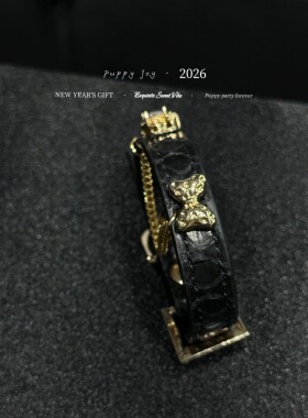 手链 PuppyJoy独家「暗金序曲」蛇皮手环高级手工定制