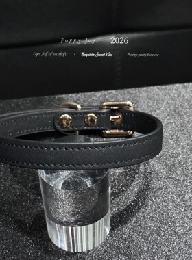 PuppyJoy小众限量基础款choker牛皮项圈高级手工定制