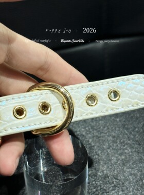 PuppyJoy独家「蛇纹项圈」choker项圈高级手工定制