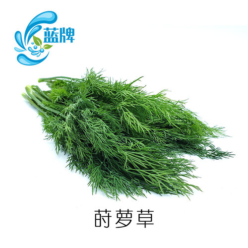 【蓝牌】新鲜莳萝草 dill 刁草 莳萝叶 洋茴香调味西餐香草料100g - 图3