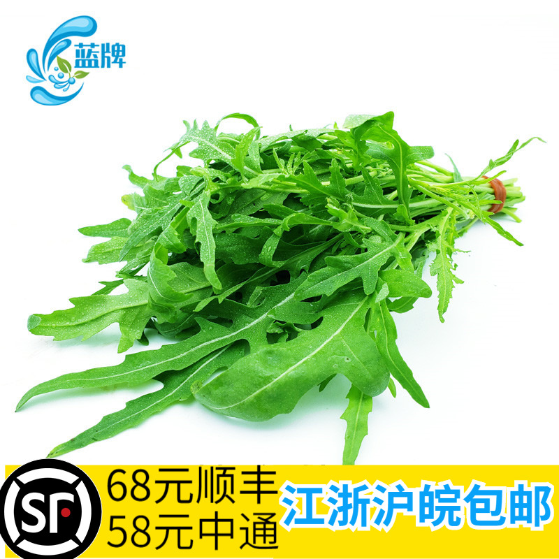 【蓝牌】新鲜芝麻菜火箭菜新鲜蔬菜 Arugula沙拉菜色拉苦菜250g-图0